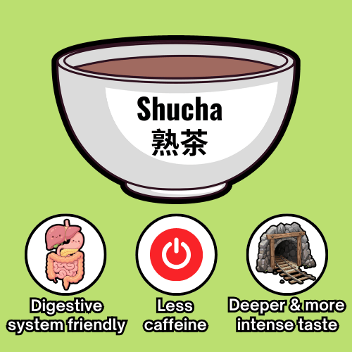 Shucha - 3 - EN